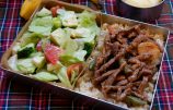 焼き肉とサラダのセパレート弁当